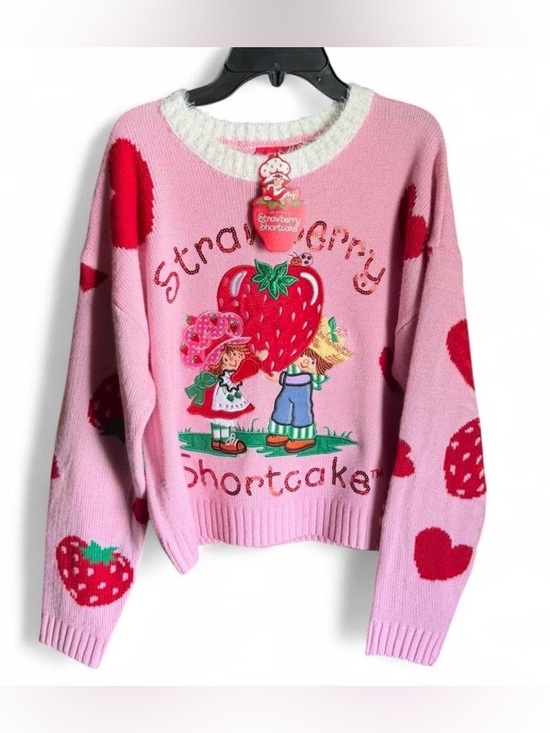 Strawberry Shortcake Sweaters - BNWT Strawberry Shortcake and Huckleberry Pie Sweater